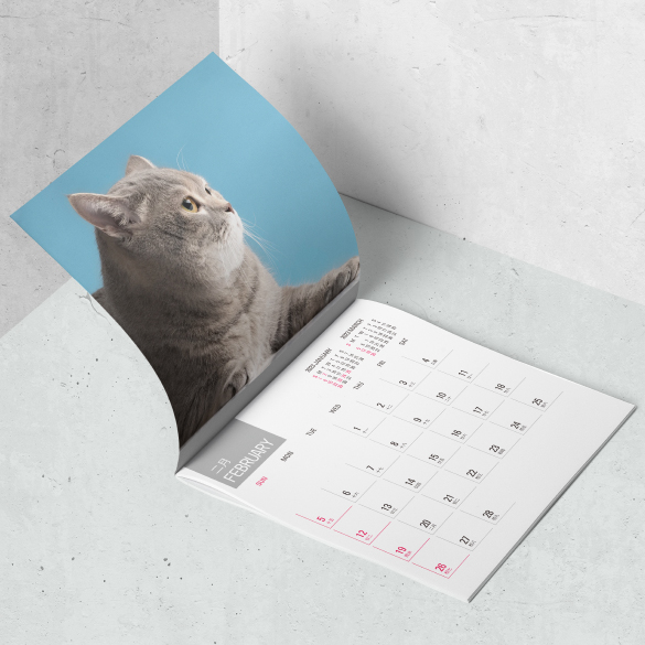 貓咪月曆，以騎馬釘釘裝的月曆