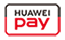 Union Pay