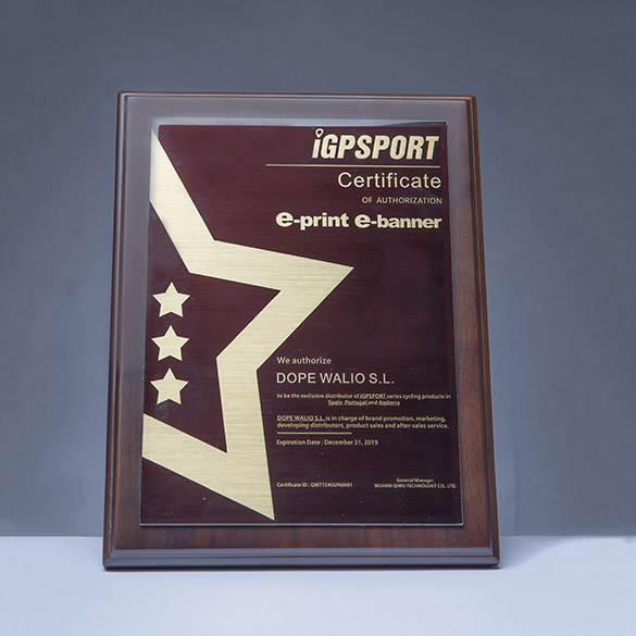 Wooden Certificate Trophy - E002