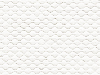 White Card