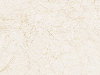 White Card